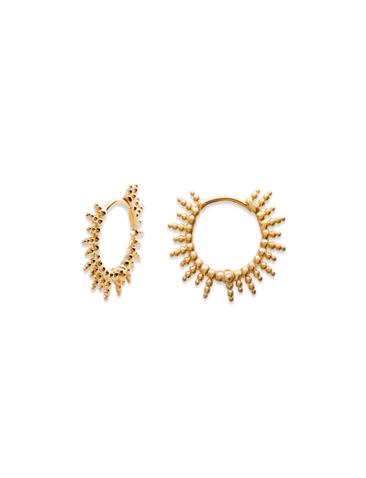 Sunny Hoops Earrings